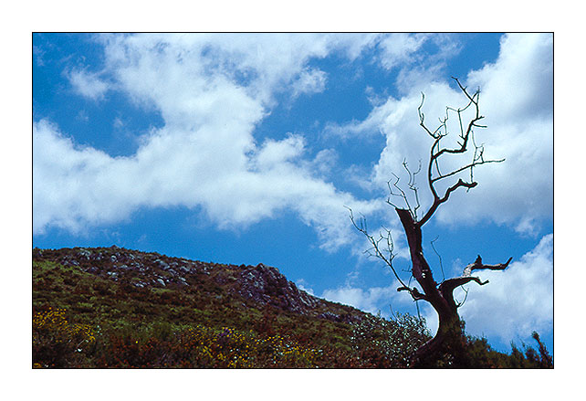 photo "Standing up" tags: landscape, clouds