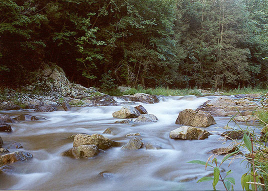 photo "4 seconds in the life of a stream" tags: landscape, misc., water