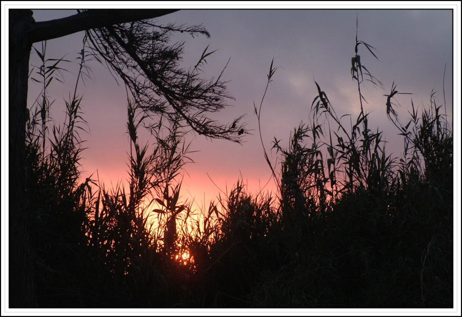photo "Edge of the Night" tags: landscape, clouds, night