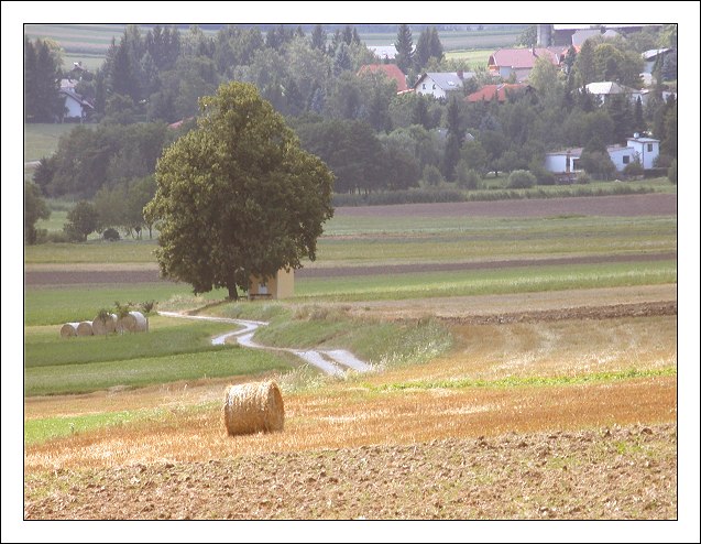 photo "In the Country" tags: landscape, travel, Europe, summer