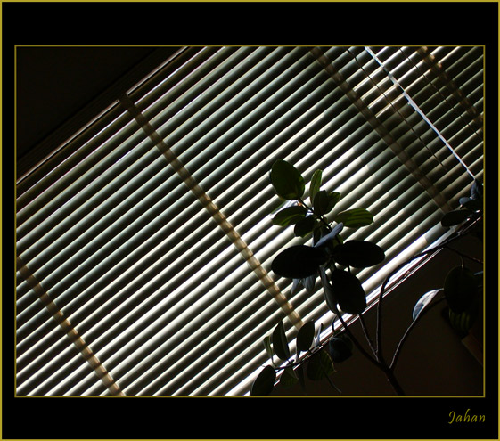 photo "Between dark and light" tags: misc., 