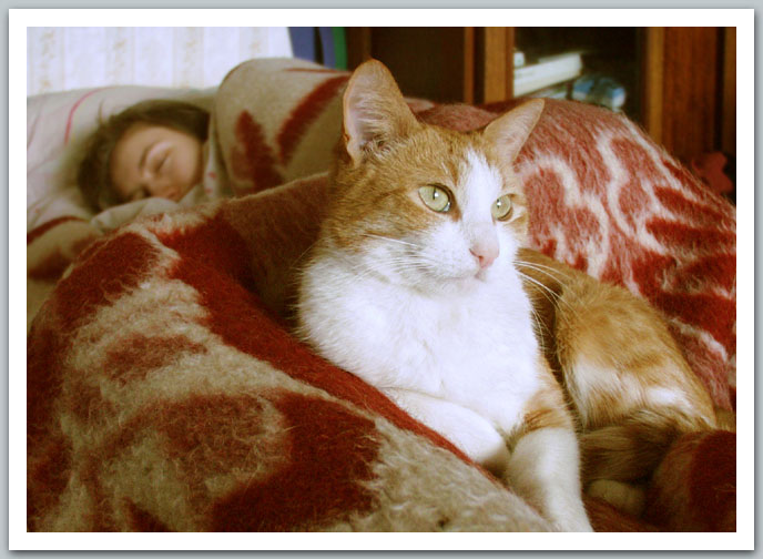 photo "The Keeper of the Dream" tags: misc., 