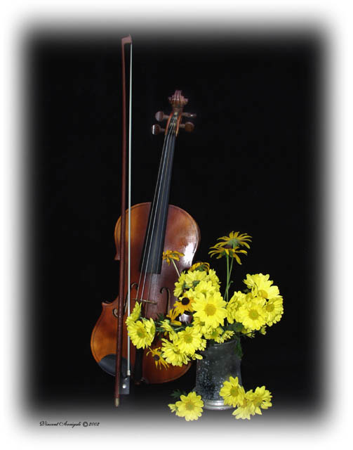 фото "The Violin and Flowers" метки: натюрморт, 