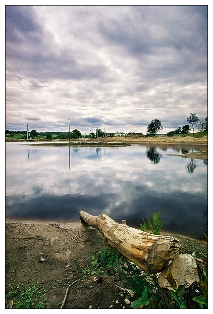 photo "Water and tree" tags: landscape, water