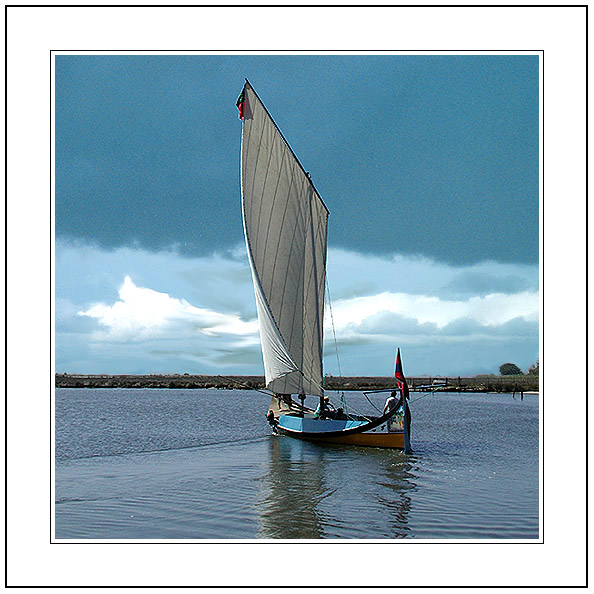 photo "Cantata for the birthday of the Moliceiro Boat" tags: landscape, water