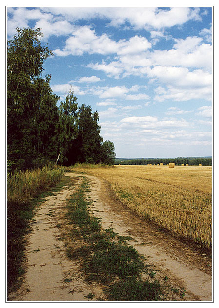 photo "Untitled photo" tags: landscape, clouds, summer