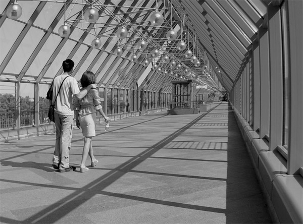 photo "Untitled photo" tags: misc., 