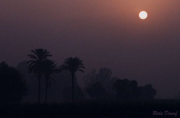 photo "Foggy morning in Cairo" tags: travel, landscape, Africa, sunset