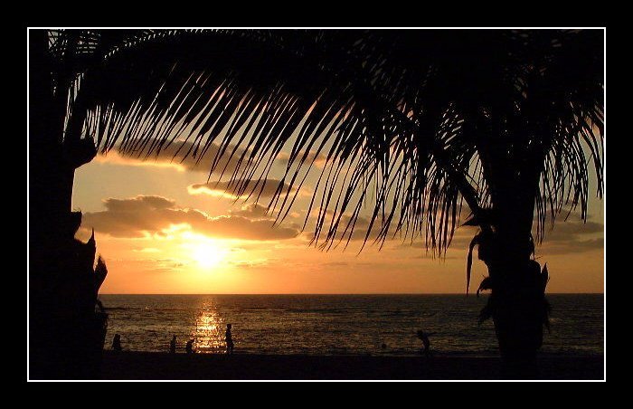 фото "Palm Beach .." метки: пейзаж, вода, облака