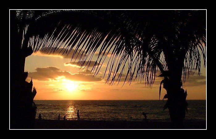 photo "Palm Beach .." tags: landscape, clouds, water