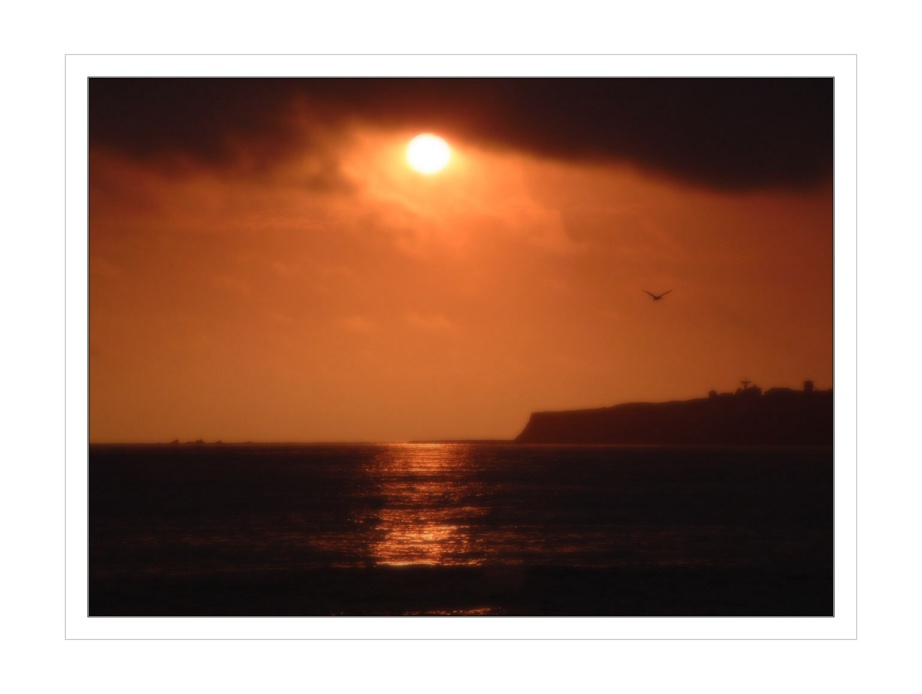 photo "Raven" tags: landscape, sunset