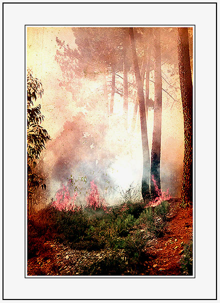 фото "The Flames, the Smoke and the Sparks." метки: репортаж, 