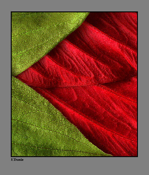photo "Green and red." tags: abstract, 