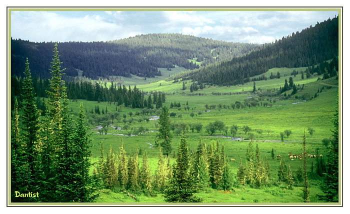 photo "Valley" tags: landscape, forest, summer