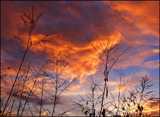 photo "Sunset Soliloquies" tags: landscape, clouds, sunset