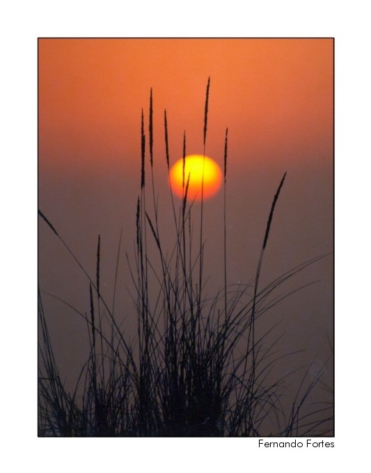 photo "Horizon Enigma" tags: landscape, sunset