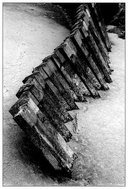 photo "Fences 2" tags: abstract, 