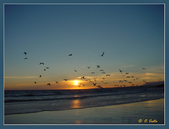 photo "Sunset Dancers" tags: landscape, sunset, water