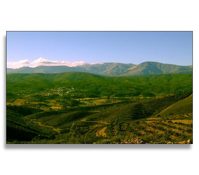 photo "Serra da Estrela" tags: landscape, mountains, summer