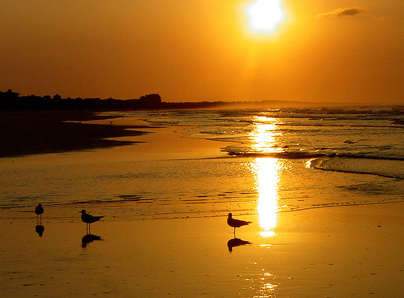 photo "Three Birds" tags: landscape, summer, sunset