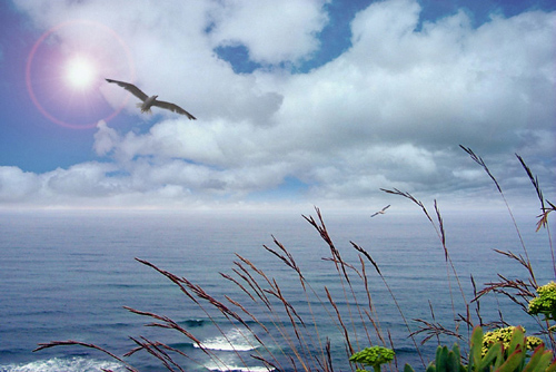 photo "Landscape" tags: landscape, summer