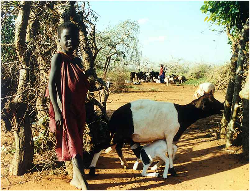 photo "shepherd" tags: genre, portrait, children