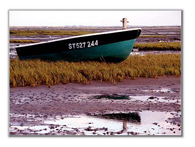 фото "the boat" метки: разное, 