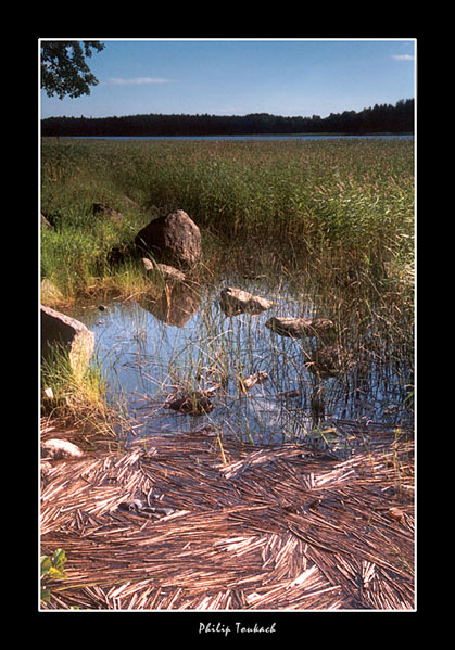 photo "***" tags: landscape, summer, water