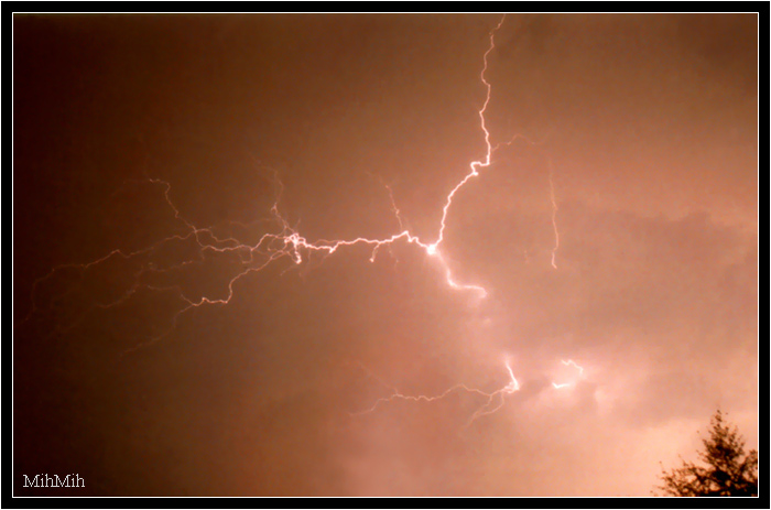 photo "Hair of the Medusa Gorgon" tags: landscape, nature, night