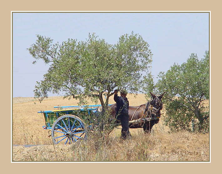 photo ""Man to Man Talk ..."" tags: travel, nature, pets/farm animals