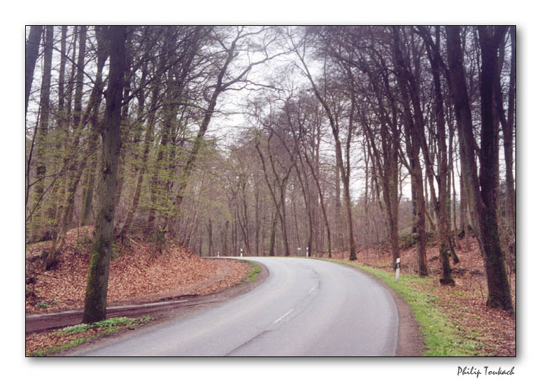 photo "***" tags: landscape, autumn, spring