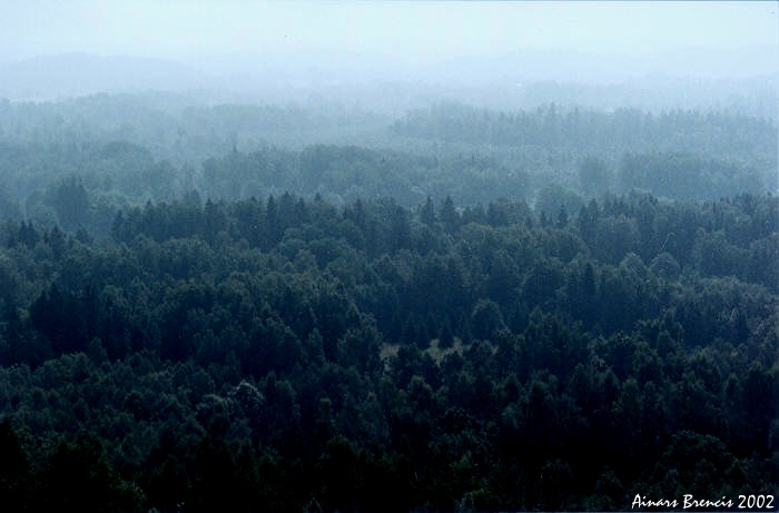 photo "Richness of my country" tags: landscape, forest