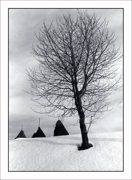 photo "winter landscape" tags: landscape, winter