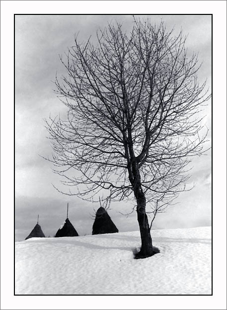 photo "winter landscape" tags: landscape, winter