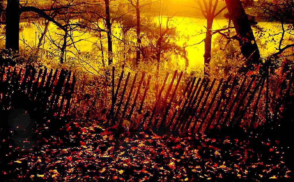 photo "In evening park" tags: landscape, autumn