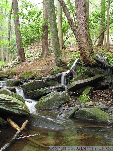 фото "#1 "Small Creeks" Album" метки: путешествия, Северная Америка