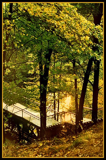 photo "Untitled photo" tags: landscape, autumn, forest
