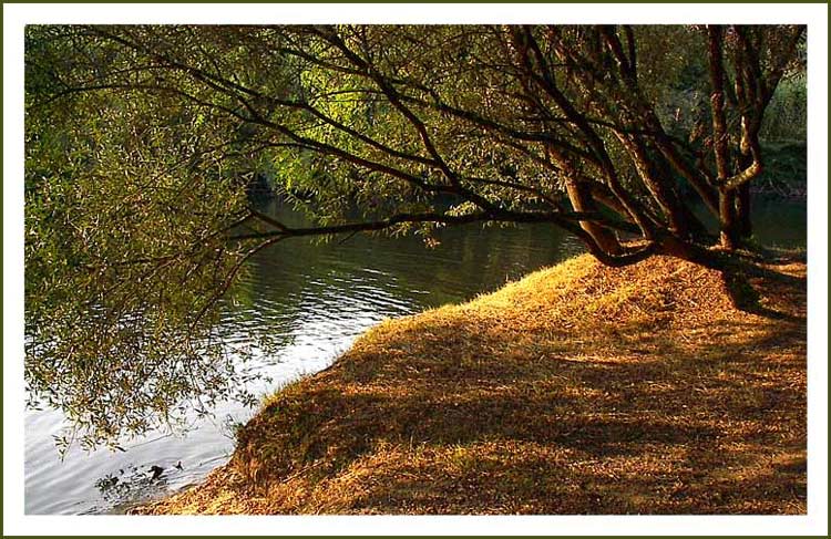 фото "Golden afternoon" метки: пейзаж, вода, ночь