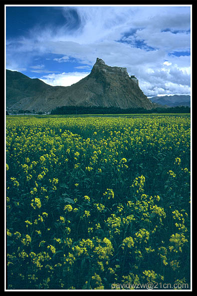 фото "Tibet 5" метки: пейзаж, весна, горы