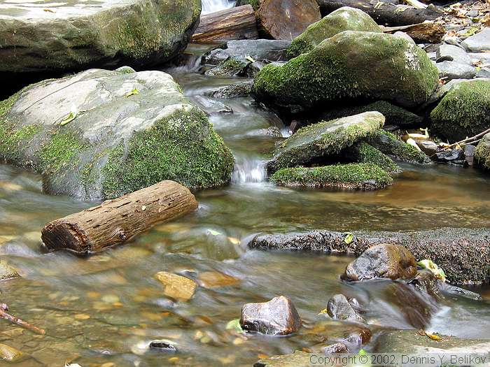 photo "#3 "Small Creeks" Album" tags: travel, landscape, North America, water