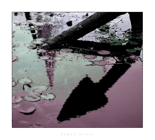 photo "Real illusions" tags: abstract, montage, 