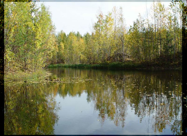 photo "Taiga Lake" tags: landscape, montage, autumn