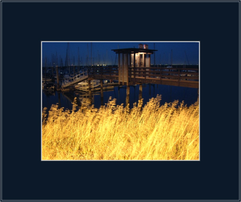 photo "Tall Grasses at Night" tags: landscape, night, water