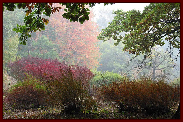 фото "Московская осень 2002. Дымное утро." метки: пейзаж, лес, осень
