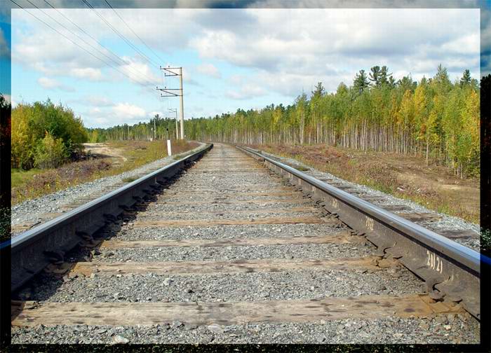 photo "railroad" tags: genre, landscape, autumn