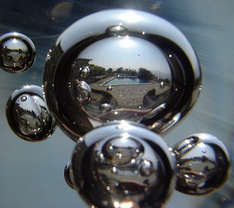 photo "Su-real(ity)" tags: abstract, macro and close-up, 