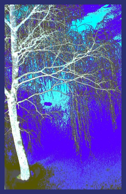 фото "silver and blue" метки: абстракция, фотомонтаж, 