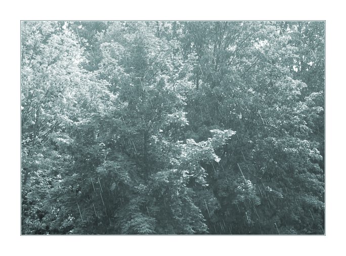 фото "Rain" метки: пейзаж, абстракция, лето