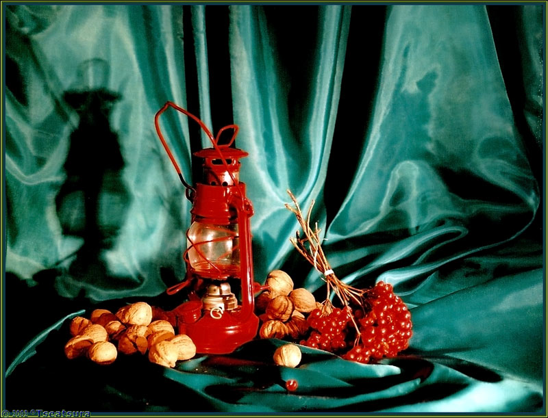 photo "Green-Red Still-Life" tags: still life, 