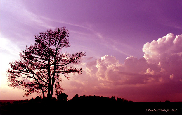 photo "Avenue of Souls" tags: landscape, clouds, sunset